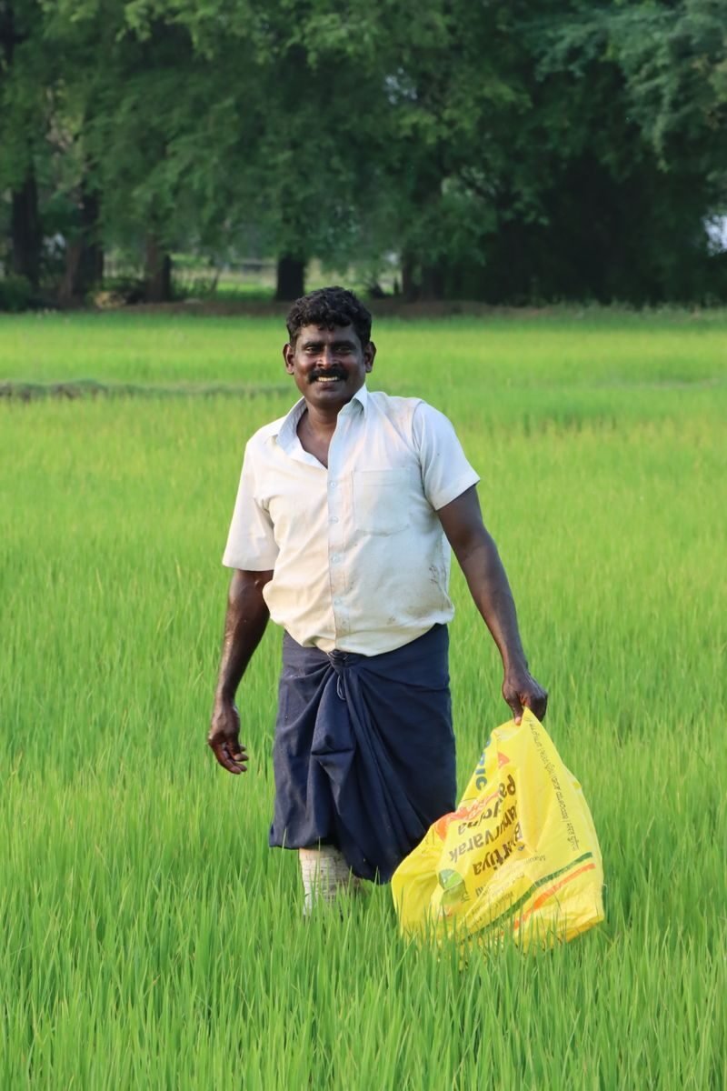 South Asian farmer in traditional attire smiles while holding a yellow bag in a lush green rice field.