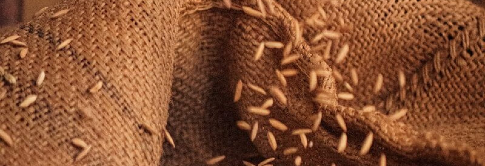a sack full of seeds sitting on top of a table